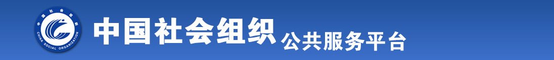 插Bwww全国社会组织信息查询